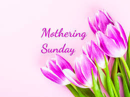 The words "Mothering Sunday" in pink script to the left of pink-purple tulips.