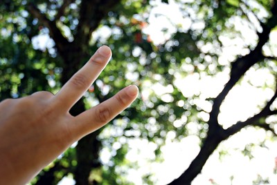A peace sign made by fingers in front of tree branches.