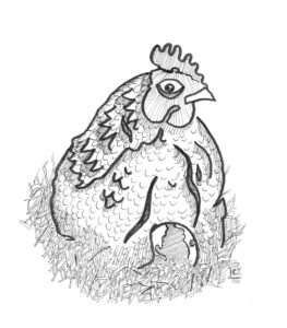 A pen and ink drawing of a hen brooding over an egg -- an egg that is suspiciously spherical, and has the outline of Asia, the Pacific Ocean, and the western coasts of Central America and parts of North and South Americas...